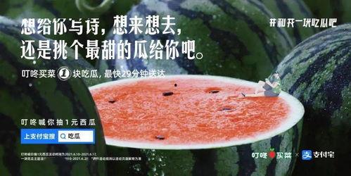 娱乐吃瓜文案去哪里找啊